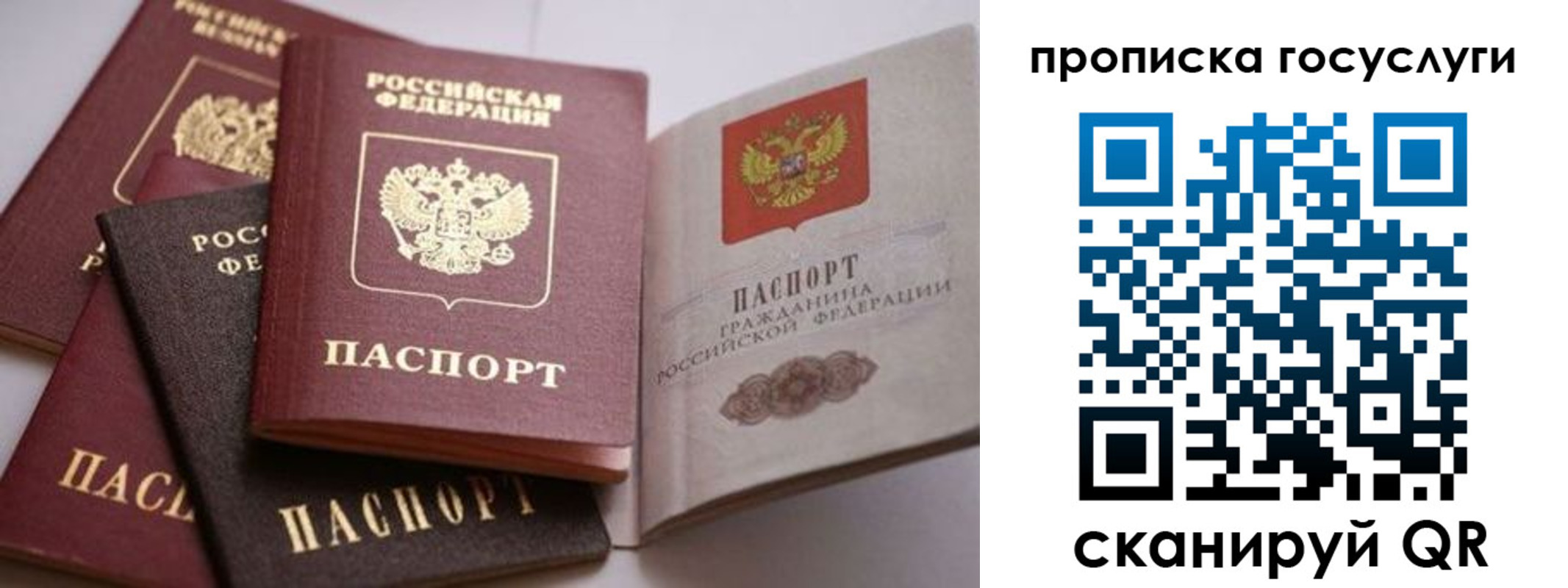 прописка штамп в Лодейном Поле
